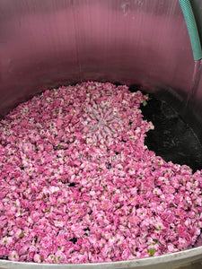 Rose Organic Hydrolat