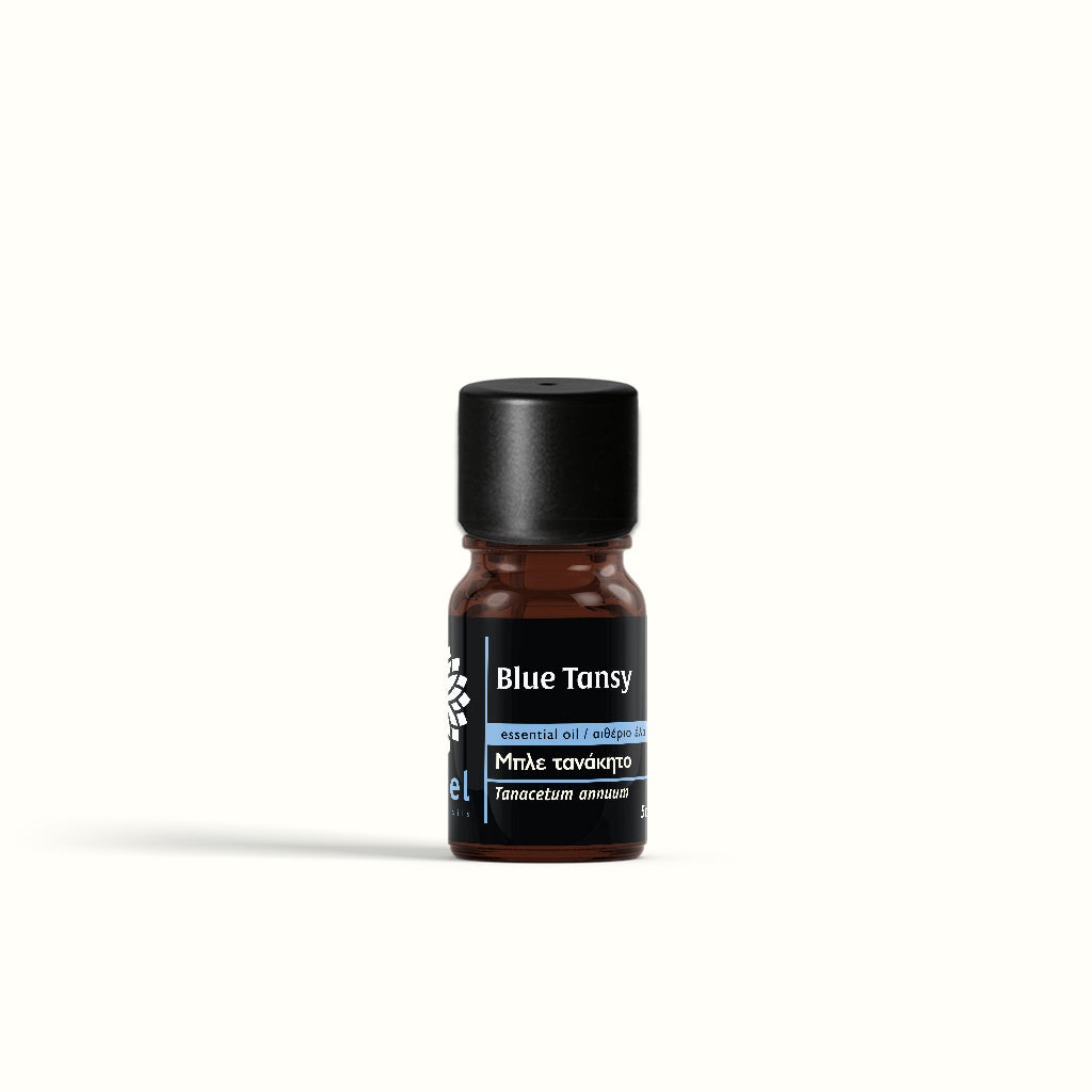 Blue Tansy Essential Oil from Morocco – Vessel Essential Oils