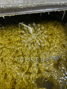 Helichrysum Macerated Oil
