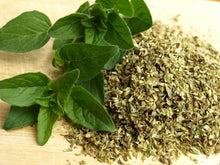 Greek Oregano Organic Herb