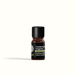 Cardamom Organic Essential Oil from Guatemala