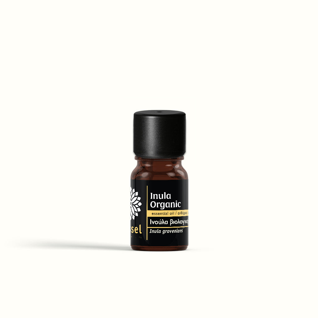 Inula Organic Essential Oil from Corsica – Vessel Essential Oils