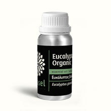 Eucalyptus Globulus Organic Essential Oil from Australia