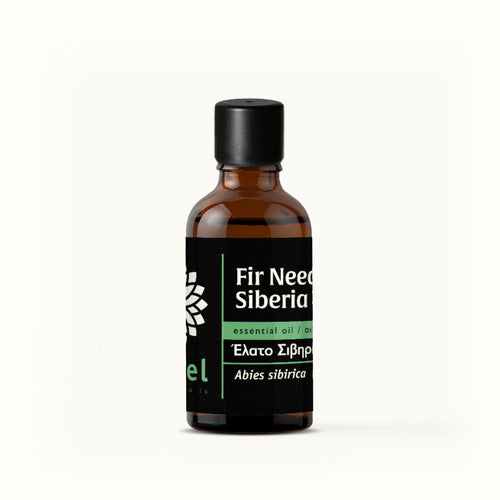 Fir Needle Essential Oil from Siberia