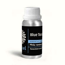 Blue Tansy Essential Oil from Morocco