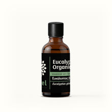 Eucalyptus Globulus Organic Essential Oil from Australia