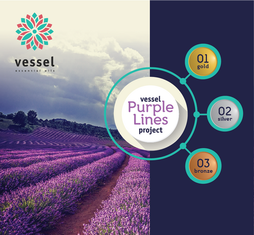 Purple Lines Project Packages